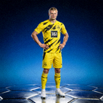 挪威球星哈兰德3D展示图